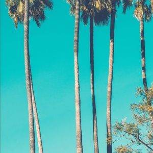 Summertime Sale! 💛